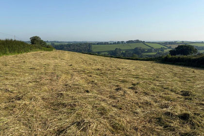3 acres of Pasture for sale in Lifton