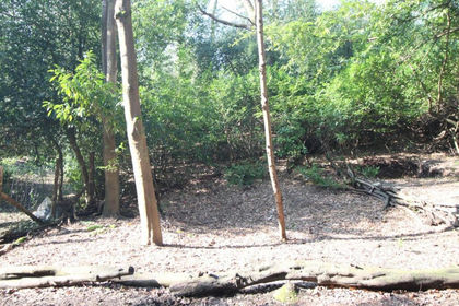 Recreational Land for sale in Hound