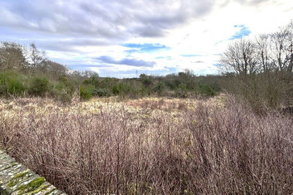 Land for sale in Dunfermline and Dollar