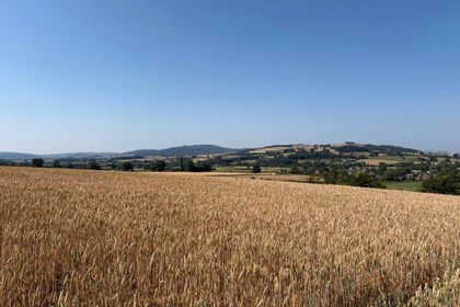 26.8 acres of Farmland for sale in Hopesay