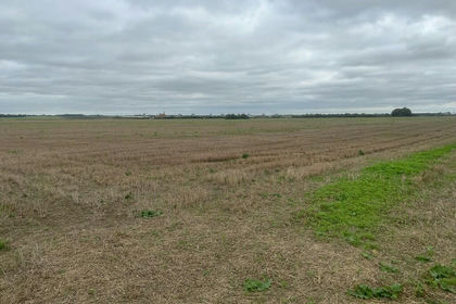 11.5 acres of Development Land for sale in Wimblington