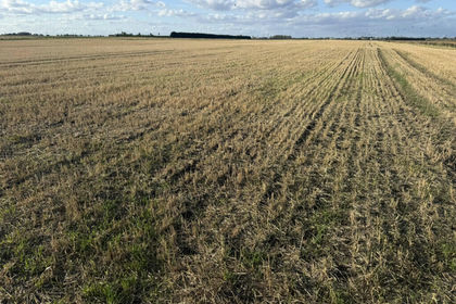 39.9 acres of Arable Land for sale in March