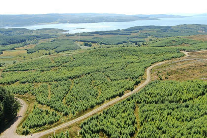 375 acres of Agricultural Land for sale in Argyll, Bute and South Lochaber