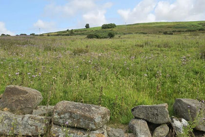 18.1 acres of Cheap Land for sale in Commondale