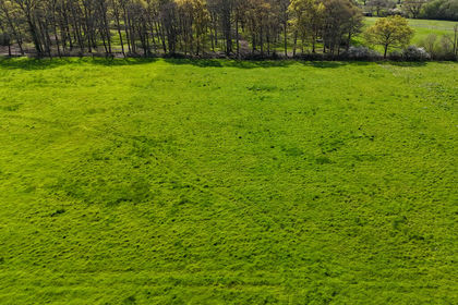 Grazing Land for sale in Netley Marsh