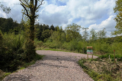 3.3 acres of Woodland for sale in