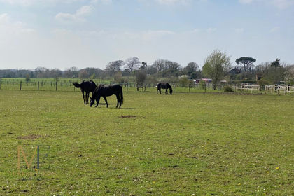 Agricultural Land for sale in Cobham