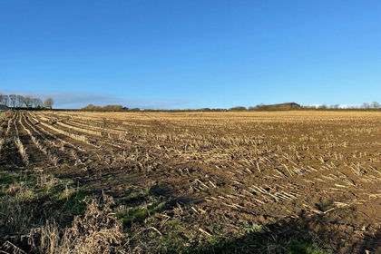 6.5 acres of Agricultural Land for sale in Stainborough