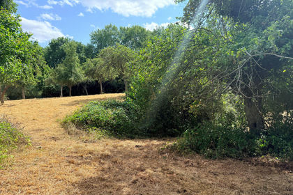 2.1 acres of House with Land for sale in Gorsley and Kilcot
