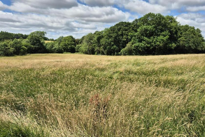 2.3 acres of Woodland for sale in Cossall