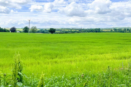 Building Plot for sale in Hamilton and Clyde Valley