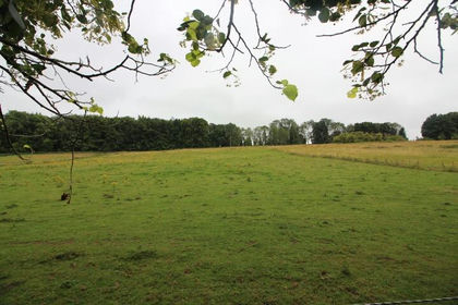 22.5 acres of Land for sale in Ramsbury