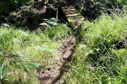 4.8 acres of Agricultural Land for sale in Worthen with Shelve