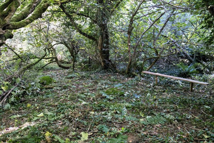 2.3 acres of Woodland for sale in