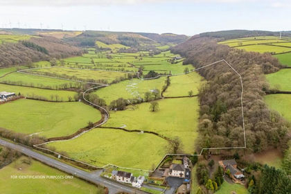 49.6 acres of Agricultural Land for sale in Llanllawddog