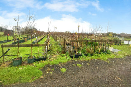 2 acres of Agricultural Land for sale in Assington