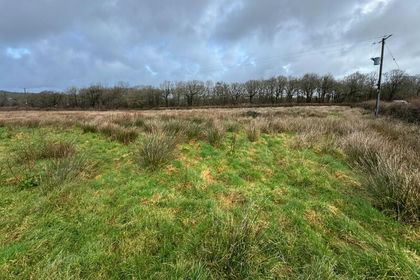 3.5 acres of Land for sale in Cookbury