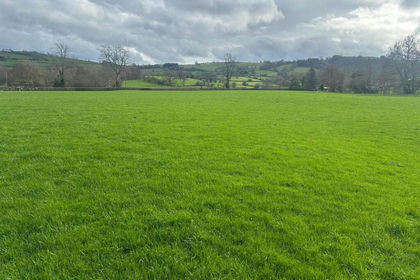 47.8 acres of Agricultural Land for sale in Churchstoke