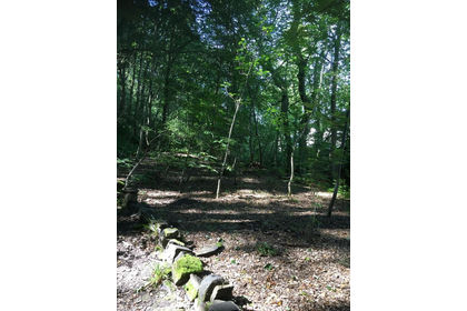 2.1 acres of Woodland for sale in Holme Valley