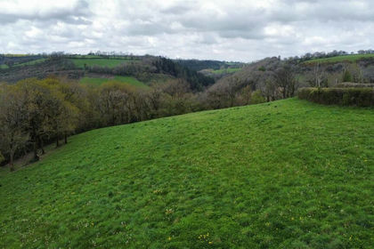 13.4 acres of Agricultural Land for sale in Trelech