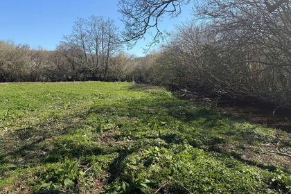 Land for sale in Harberton