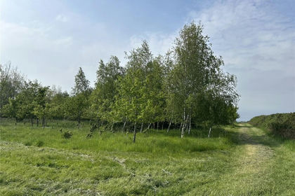 4.7 acres of Pasture for sale in Martock