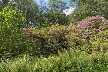 1.5 acres of Woodland for sale in Irton with Santon