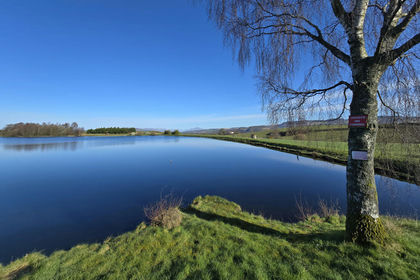 14.5 acres of Vacant Land for sale in Paisley and Renfrewshire North