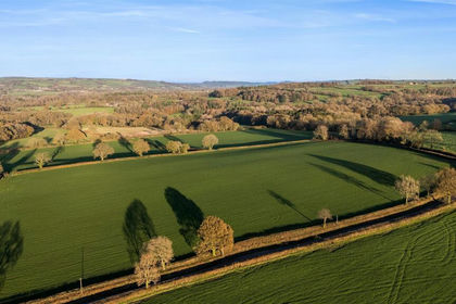 38.3 acres of Agricultural Land for sale in Thorncombe