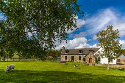 18.8 acres of Farm for sale in Gordon and Buchan
