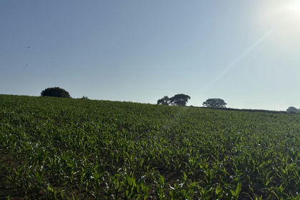 32.7 acres of Vacant Land for sale in Ashill