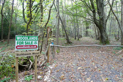 7.5 acres of For sale in Kent