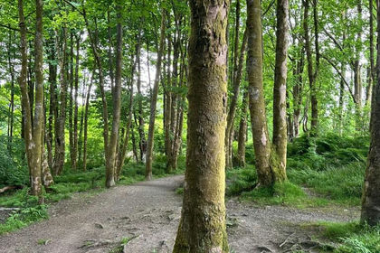 50.7 acres of Woodland for sale in Argyll, Bute and South Lochaber