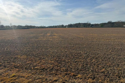 17 acres of Farmland for sale in Kingsland