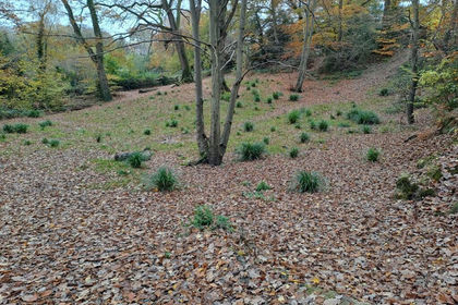 Recreational Land for sale in Southborough