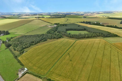104 acres of Agricultural Land for sale in Gordon and Buchan