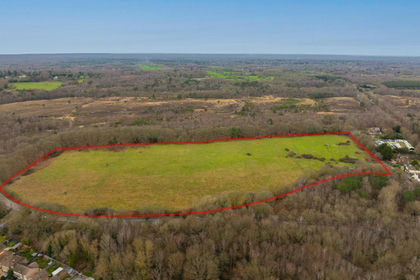 19.4 acres of Agricultural Land for sale in Worplesdon