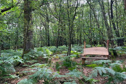 6.3 acres of Woodland for sale in