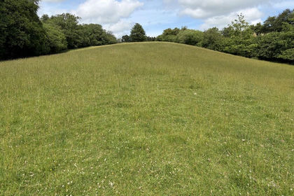2.5 acres of Pasture for sale in Yscir