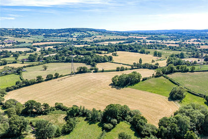 18.2 acres of Pasture for sale in Honiton