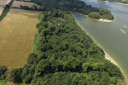9.8 acres of Woodland for sale in Ticehurst