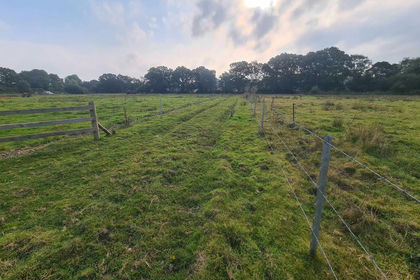Small Plot of Land for sale in Landford