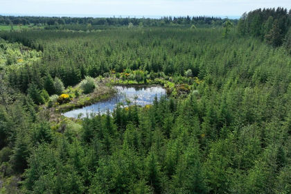 478.8 acres of Timberland for sale in Arbroath and Broughty Ferry