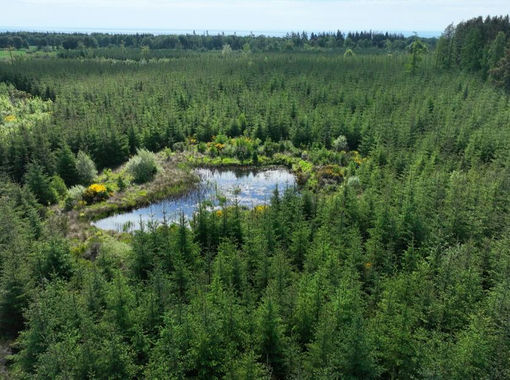 478.8 acres of Timberland for sale in Arbroath and Broughty Ferry