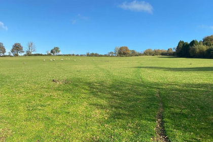 31 acres of Agricultural Land for sale in Boncath