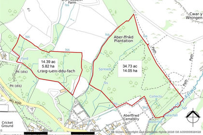 49.1 acres of Woodland for sale in Mountain Ash East