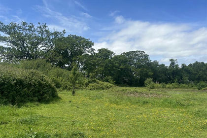 2.9 acres of Grazing Land for sale in Colehill