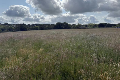 8.5 acres of Undeveloped Land for sale in Martletwy