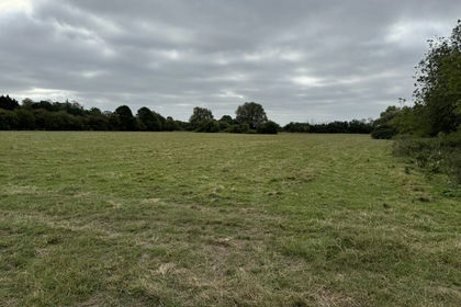23.5 acres of Agricultural Land for sale in Fincham