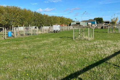 1.9 acres of Smallholding for sale in Gedney